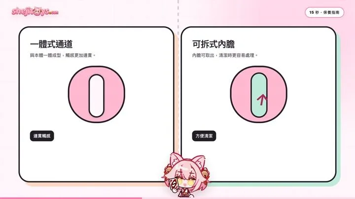 一體式與可拆式飛機杯有什麼差別